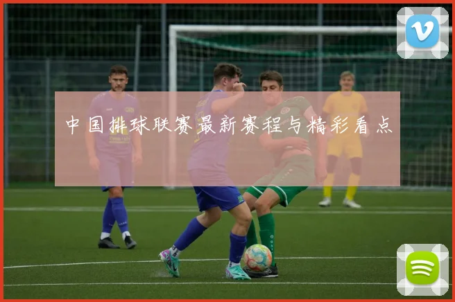 中国排球联赛最新赛程与精彩看点