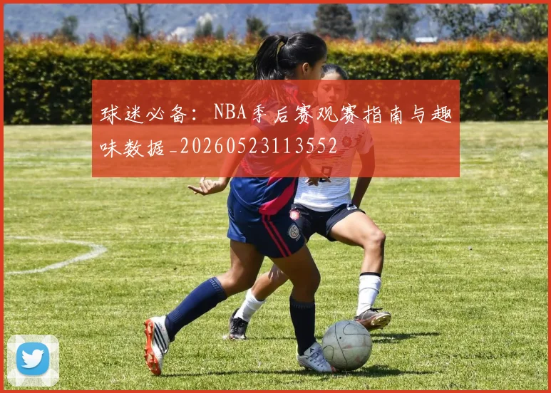 球迷必备：NBA季后赛观赛指南与趣味数据_20260523113552