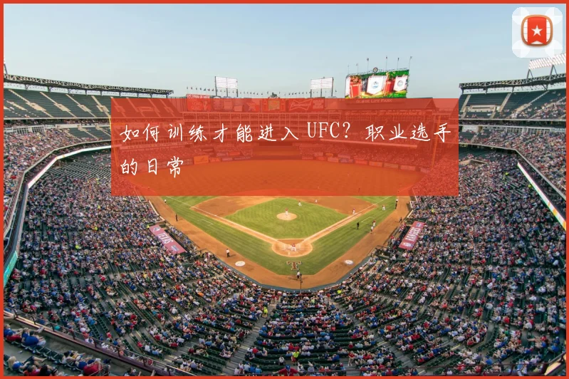 如何训练才能进入 UFC？职业选手的日常